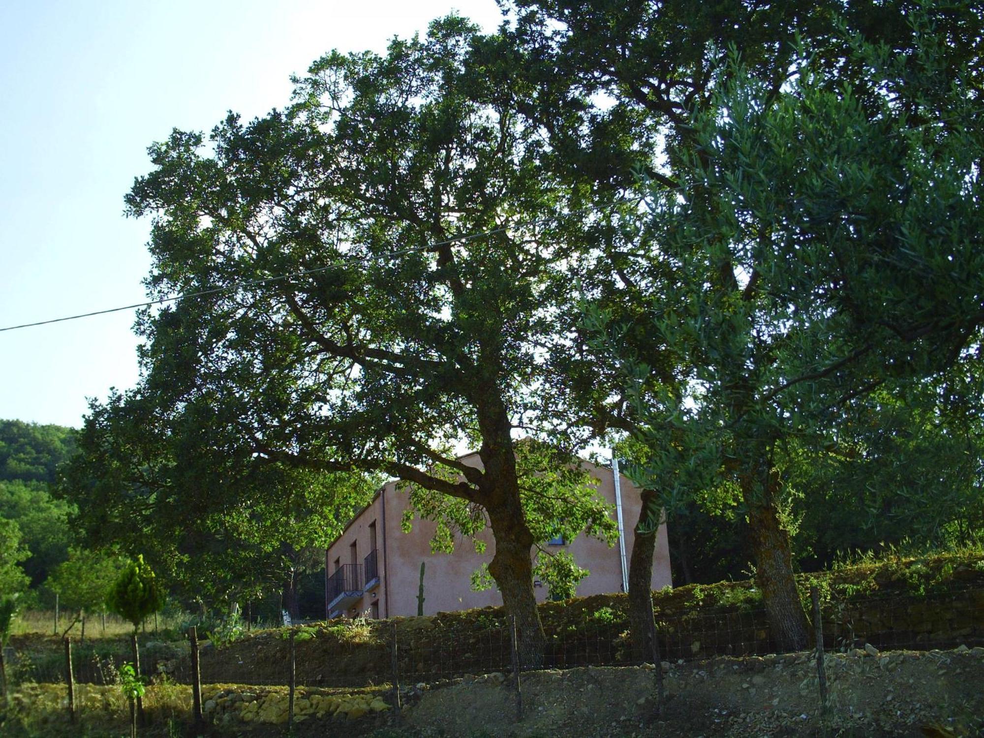 Agriturismo San Pietro Ґанджі Екстер'єр фото