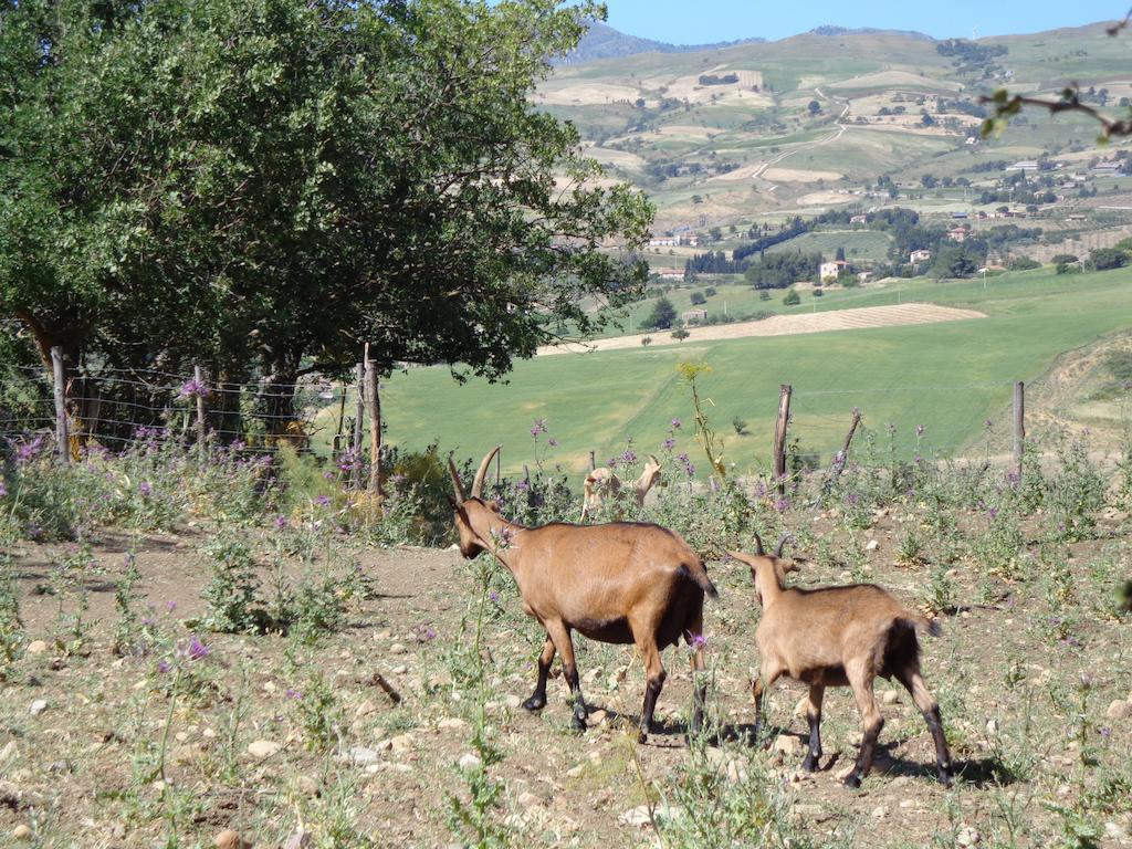 Agriturismo San Pietro Ґанджі Екстер'єр фото